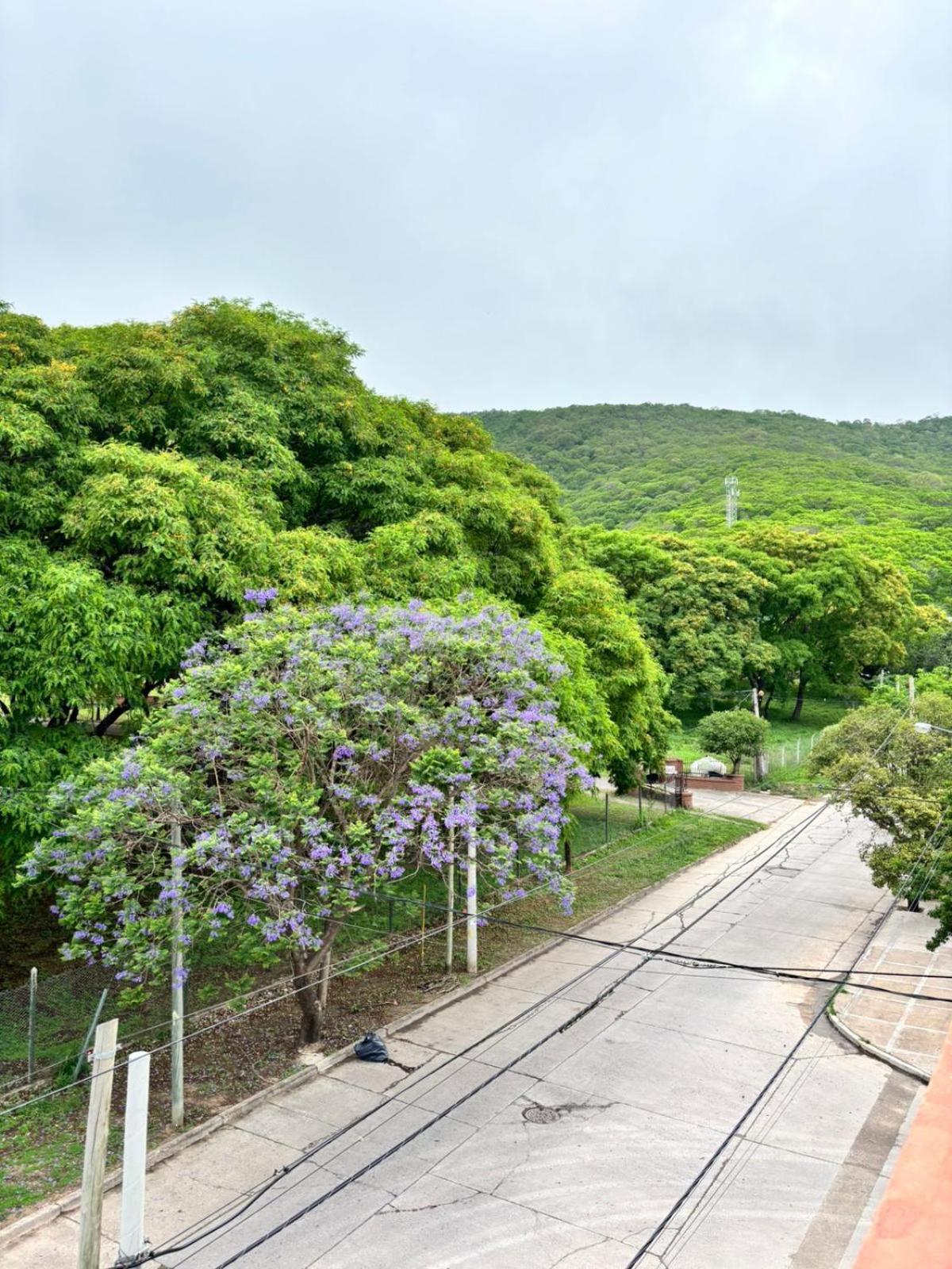 Guest House Сальта Экстерьер фото